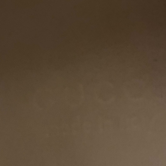 Gucci Womens lavaredo eco mesh web rhyton reflective size 9 worn 5x - Picture 13 of 15